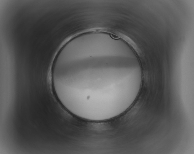 X0000100481428200806271153