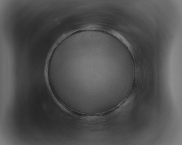 X0000100481429200806271153