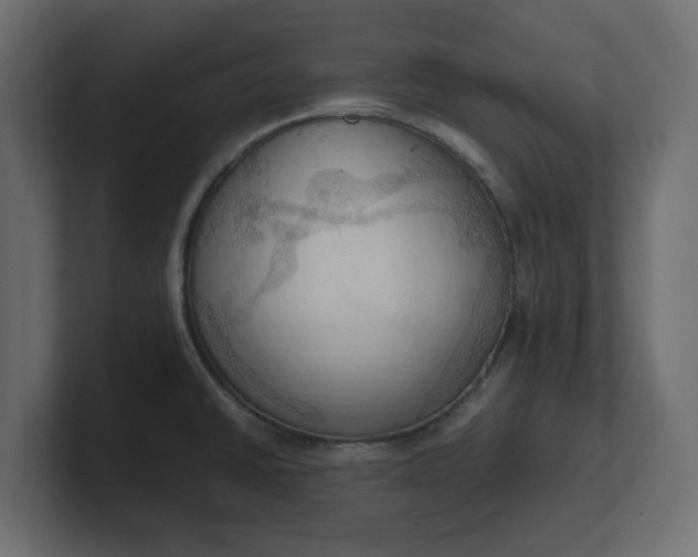 X0000100481430200806271153