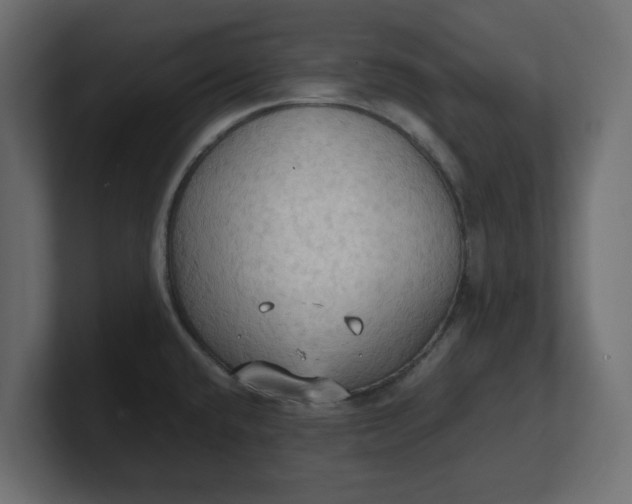 X0000100481432200806271153