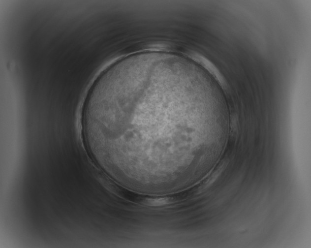 X0000100481435200806271153