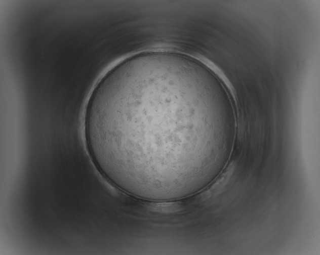 X0000100481437200806271153
