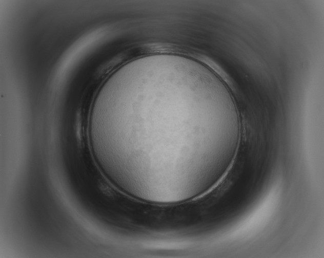 X0000100481438200806271153