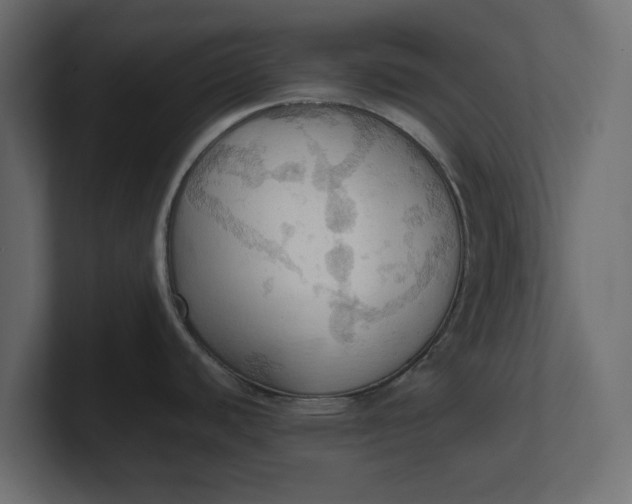 X0000100481440200806271153