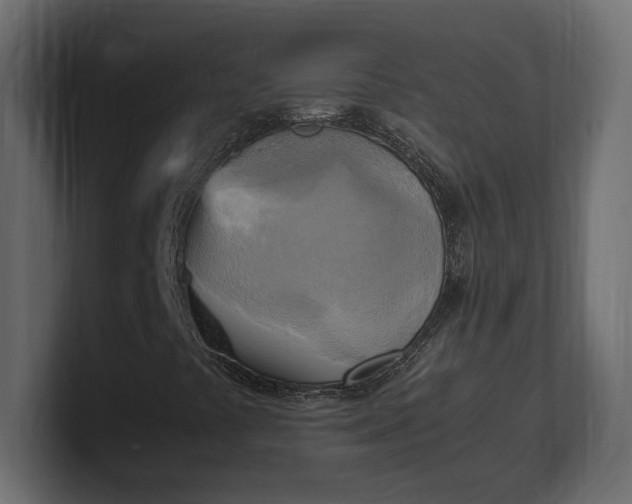 X0000100481441200806271152