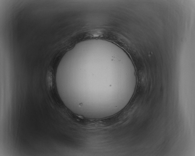X0000100481442200806271152