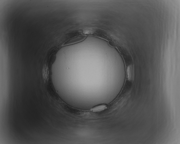 X0000100481443200806271152
