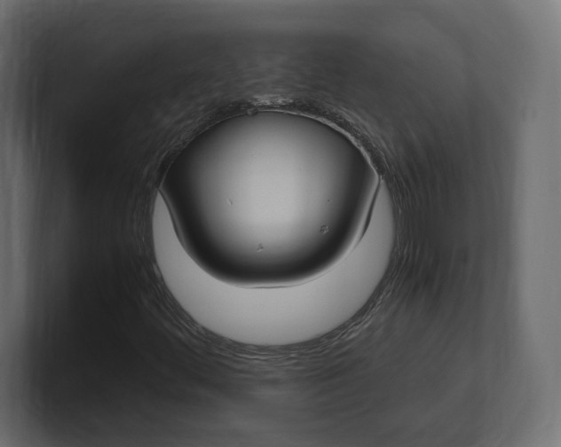 X0000100481444200806271152