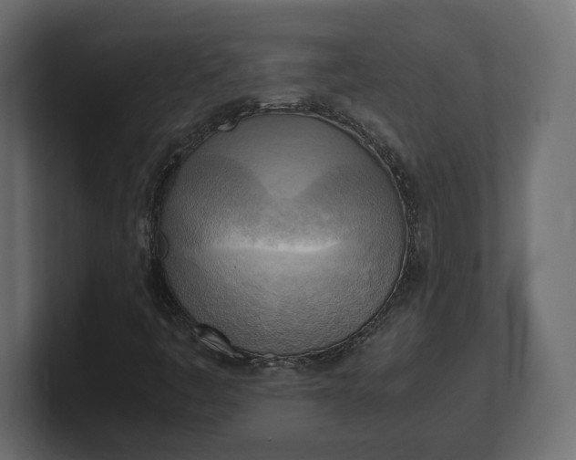 X0000100481445200806271152