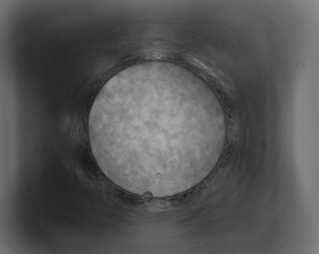 X0000100481446200806271152