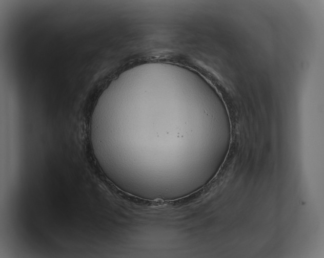 X0000100481447200806271152