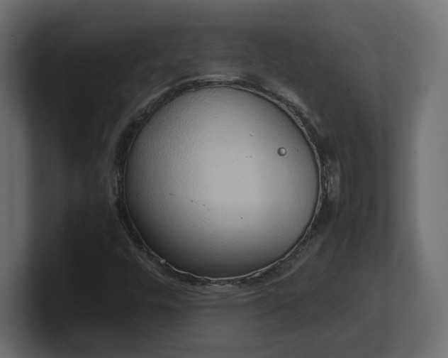 X0000100481448200806271152