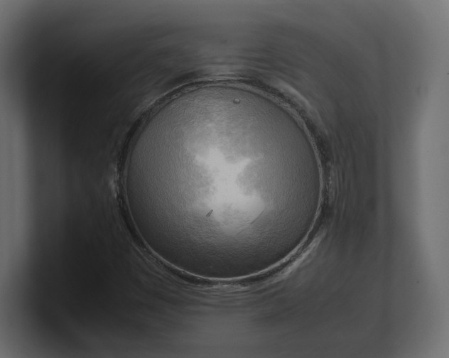 X0000100481449200806271152