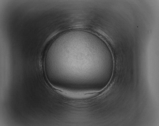 X0000100481450200806271152