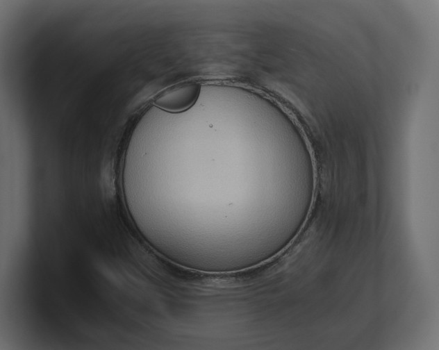X0000100481451200806271152