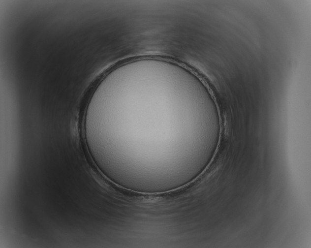X0000100481452200806271152