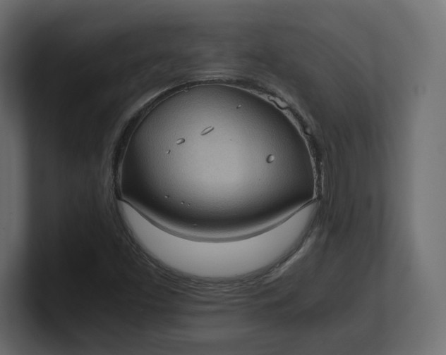 X0000100481453200806271152