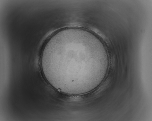 X0000100481454200806271152