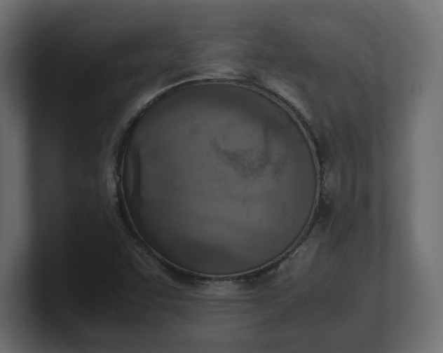 X0000100481455200806271152