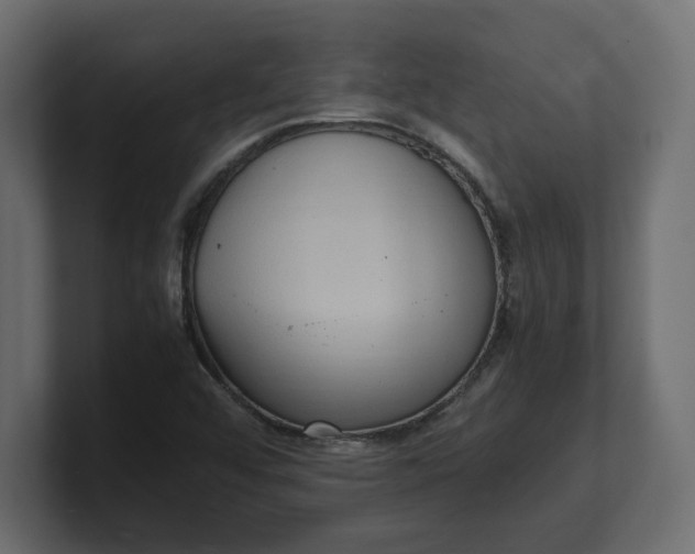 X0000100481456200806271152