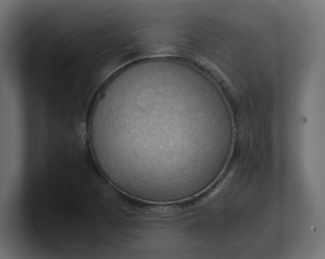 X0000100481457200806271152