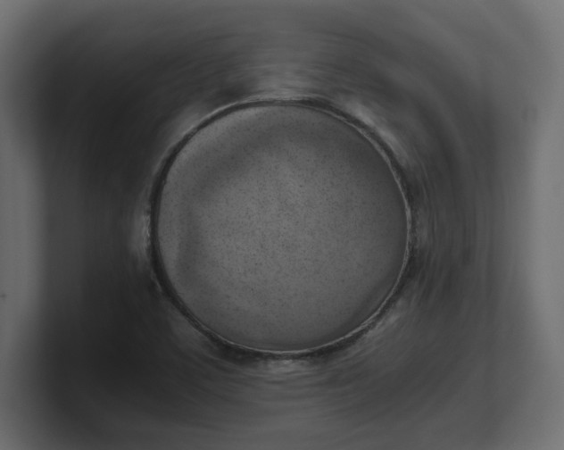 X0000100481459200806271152