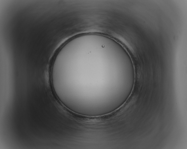 X0000100481460200806271152