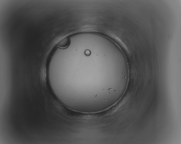 X0000100481461200806271152