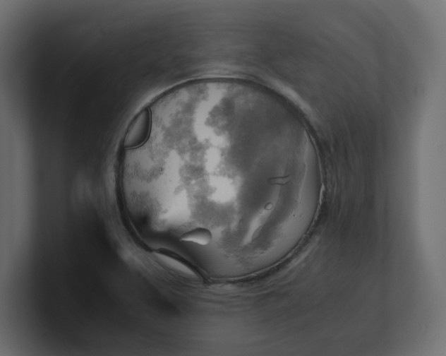 X0000100481463200806271152