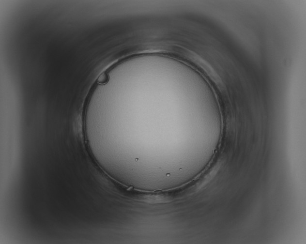 X0000100481465200806271152