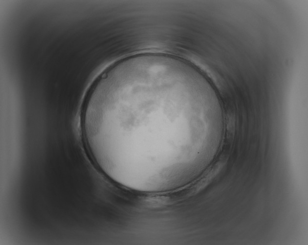 X0000100481466200806271152
