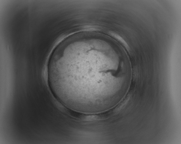 X0000100481467200806271152