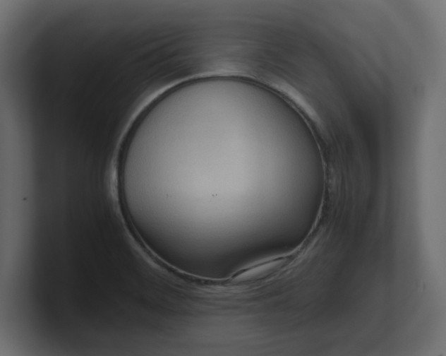 X0000100481468200806271152