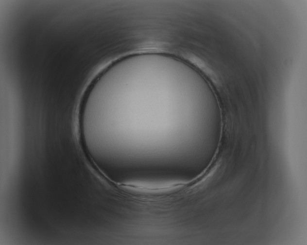 X0000100481469200806271152