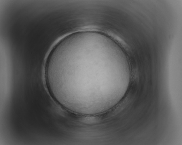 X0000100481470200806271152