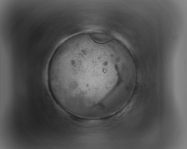 X0000100481471200806271152