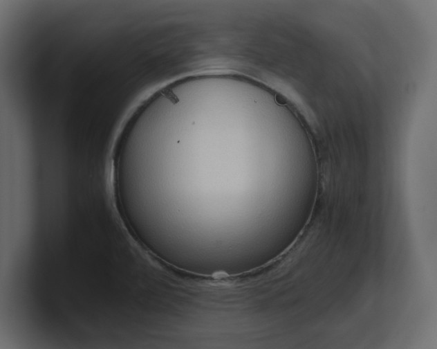 X0000100481472200806271152