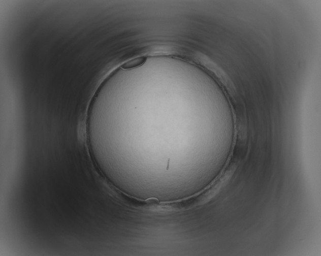 X0000100481473200806271152