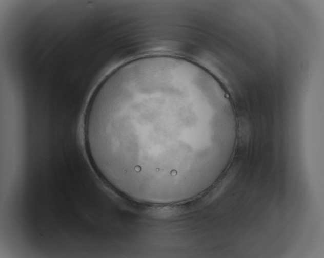 X0000100481474200806271152