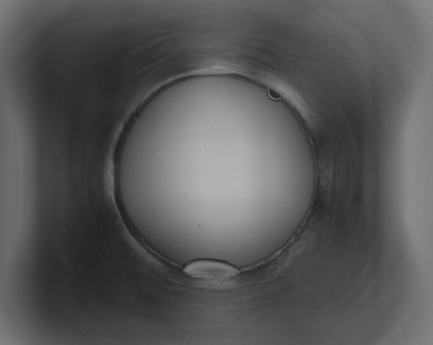 X0000100481476200806271152