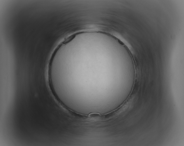 X0000100481477200806271152