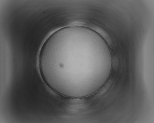 X0000100481478200806271152