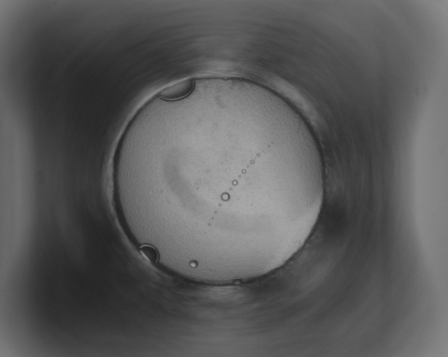 X0000100481479200806271152