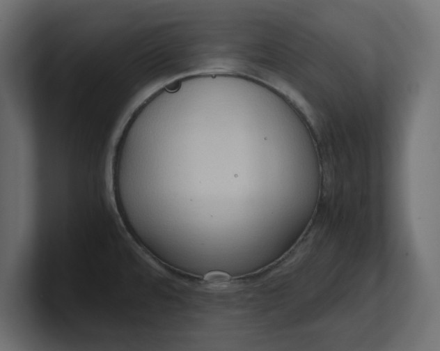 X0000100481480200806271152