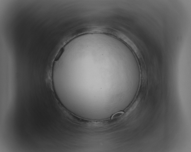 X0000100481481200806271152