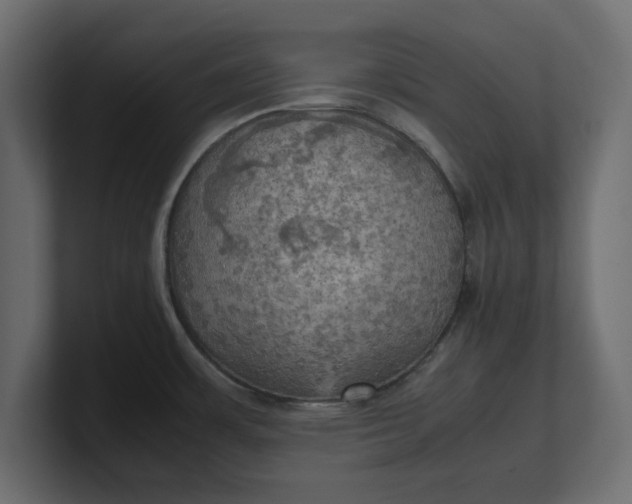 X0000100481483200806271152
