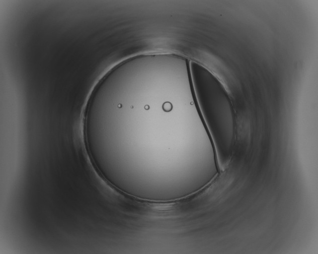X0000100481484200806271152