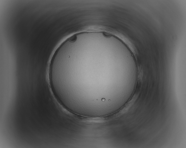 X0000100481486200806271152