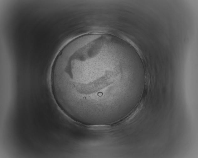 X0000100481487200806271152