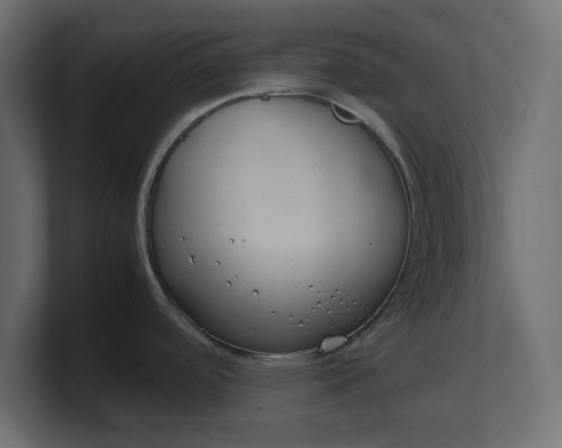 X0000100481488200806271152